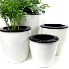 黄岩专业塑料盆 花盆