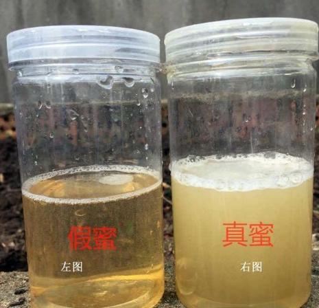 买蜂蜜不要只看价格,30年老蜂农的3个窍门,假蜂蜜立马现原形