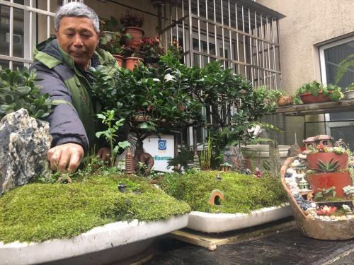 教你怎样配制养花土,轻松配出合适的养花土