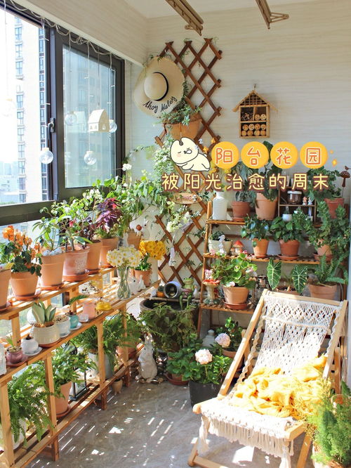 6㎡阳台,低成本布置一个治愈系阳台小花园,享受城市田园乐趣