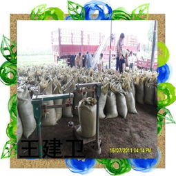 济南有卖干鸡粪的吗 什么价格袋装