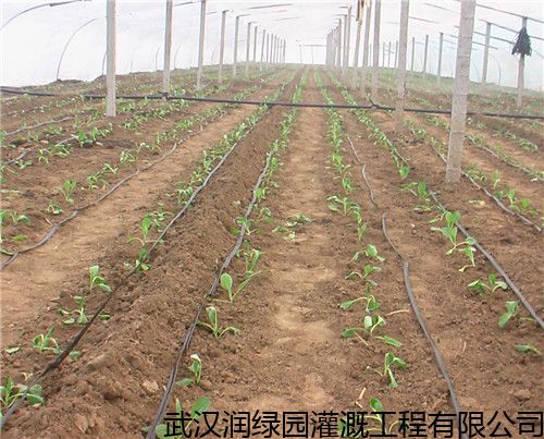 水肥一体化滴灌设备厂家