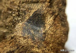 稀世沉香富森红土,不止是贵这么简单