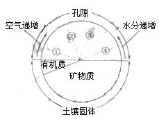 土壤空气和土壤水分贮存于土壤孔隙中.两者体积组成比例常因外界因素影响而此消彼长.下图中虚线①表示土壤中空气和水分所占比例约为4 和46 适宜多数作物生长的理想的土壤空气和水分比例变化应在