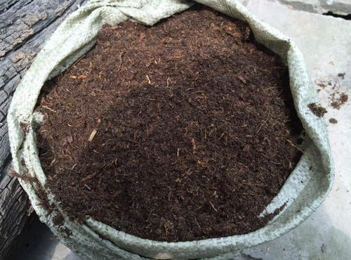 庭院种菜,用两招,种下30天就能吃了 一年四季收获不断