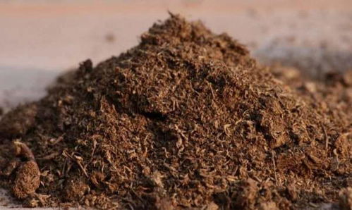 用泥炭土种花跟用椰糠 粗椰糠块相比哪一个效果更好