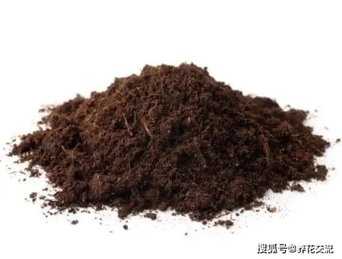 在花盆里栽种植物用什么盆土好些,这个完整的配土指南带给大家