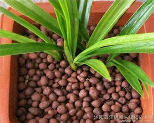 温州陶粒砂供应厂家大批量供应生产