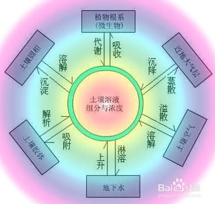 土壤肥力的影响因素