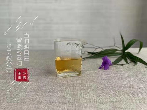 营养土不存水怎么办