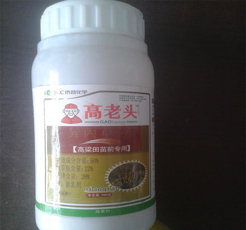 图片 品牌 怎么样 淘宝商城 天猫商城精选 元珍商城