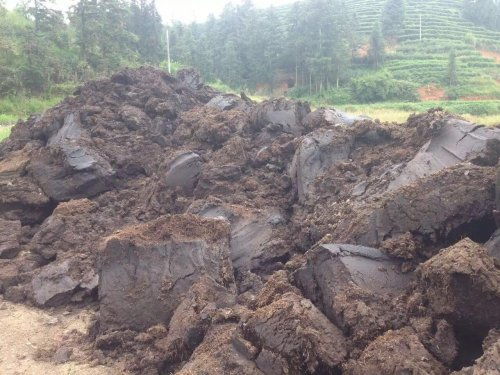 优惠券 十大品牌排行榜 哪个牌子好 淘宝商城 天猫商城精选 京东商城 拼多多商城 