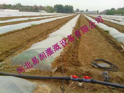 丰州镇百年老店滴灌厂家 滴灌管效果和用途