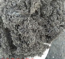 黄页88高清图片