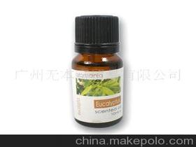 桉树的价格 桉树的批发 桉树的厂家