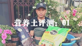 自己配制最好的万能营养土