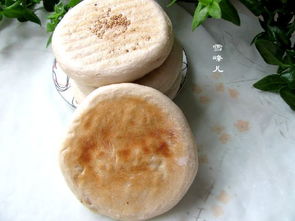 怎么判断芝麻饼肥已经发酵好了