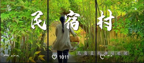 打开抖音,搜索 天台tāi ,天台文旅官方抖音号精彩上线