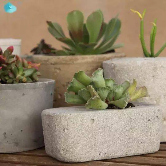 个性创意十足的花盆DIY手工制作图片