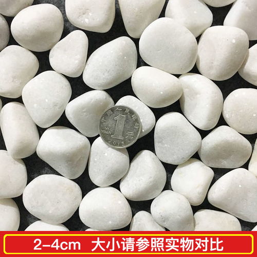 5斤天然小白石子白色石头鹅卵石庭院铺路铺地花盆多肉铺面石头
