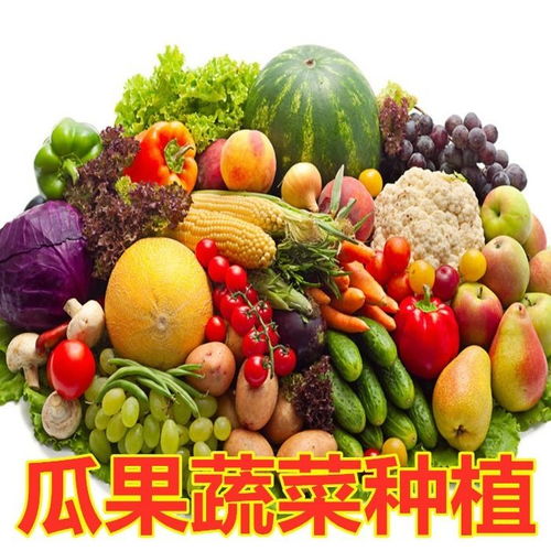 花土营养土种植土通用型多肉土多肉营养土绿萝专用土花泥土壤包邮