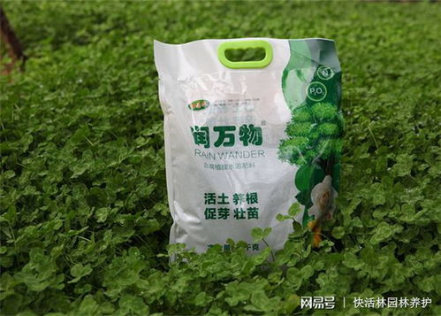 移栽树木土壤贫瘠就长得慢,肯定没见过润万物