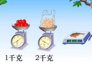 生活中有哪些东西是关于克,千克,吨之类的