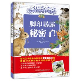 童书推荐 邂逅最美童趣时光