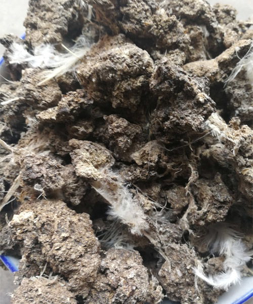 淄博雏鸡粪有机肥信息推荐 多图