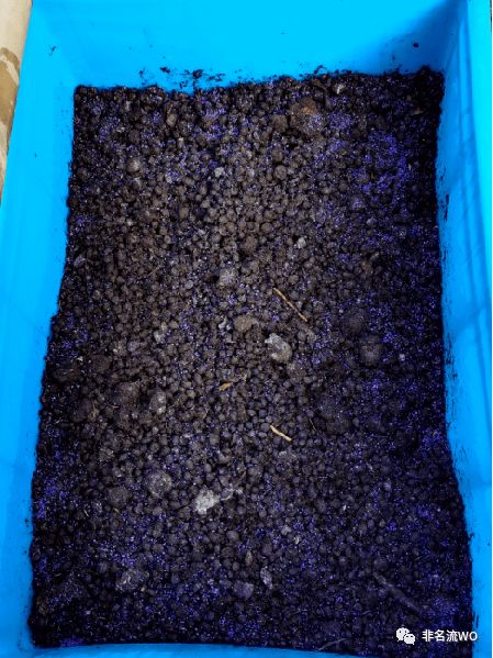 羊粪怎样使用效果最佳