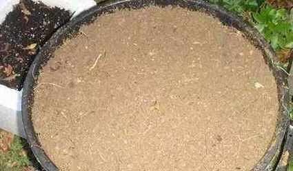花卉长不好,不如用点香蕉皮吧,这才是最好的肥料