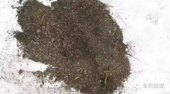 植物用土常见的问题