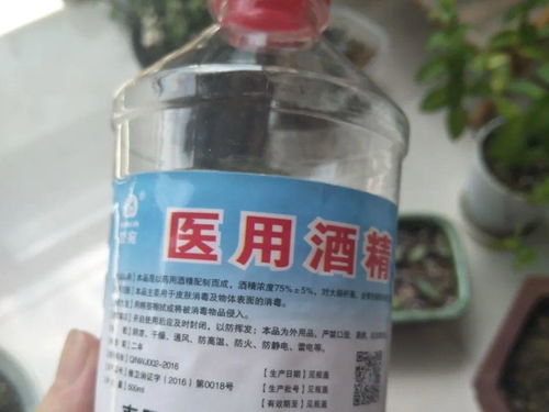5种 有毒 水,千万不能浇花,浇一盆死一盆