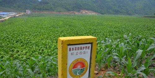 在农村承包地里栽种果树,必须先分清土地性质,否则犯法就晚了