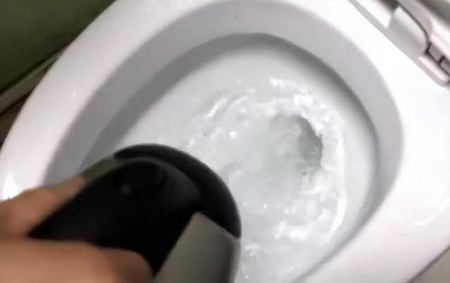 下水道中有小飞虫,根除方法有多种,不要再将开水倒进马桶里