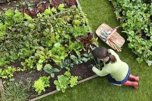 安吉 售楼处电话 绿城桃花源