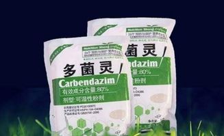 多菌灵怎样给兰花浇根