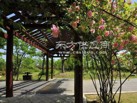 全铝廊架 天津铝制葡萄架 重庆铝制葡萄架图片