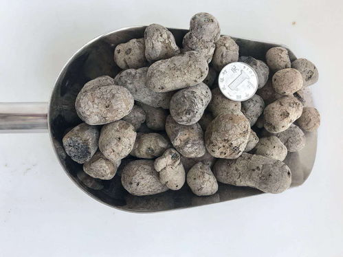 颍东区保温隔热陶粒混凝土陶粒单价