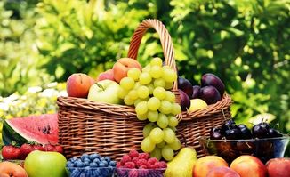 发酵食品与酵素有啥区别 这一篇讲的明明白白