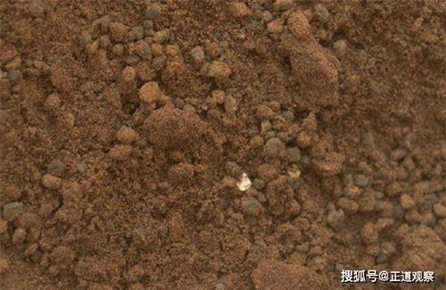 火星土壤真的不能带回地球 答案不仅仅是 不能