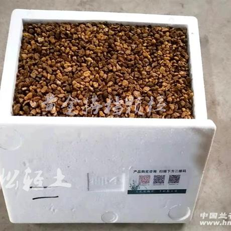 包邮精装黄金搭档混合颗粒