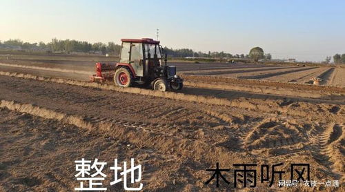 深翻地后,光照对土壤有什么作用 深翻土地的好处与缺点是什么