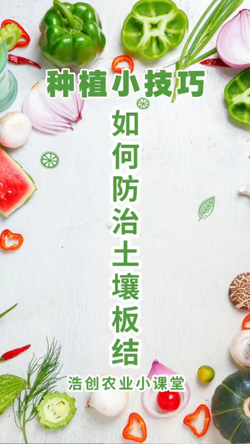 防止土壤板结的小妙招,记得收藏 