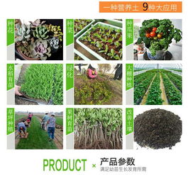 营养土有机种植土壤园艺花卉种菜多肉兰花通用型盆栽泥土育苗基质
