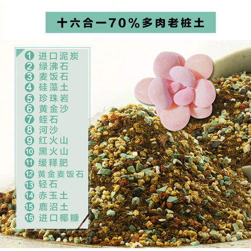 进口多肉土植物专用营养土多肉颗粒土肉肉土叶插换盆土泥炭土包邮