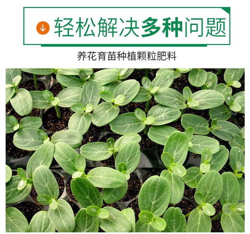 营养土通用型种花种菜土壤花肥料花卉绿萝盆栽多肉营养土有机花泥