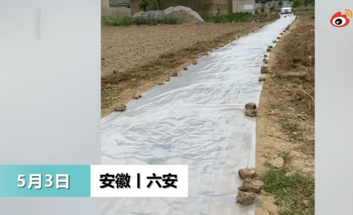 女儿出嫁爸妈在土路铺百米塑料,网友泪目 天下父母心