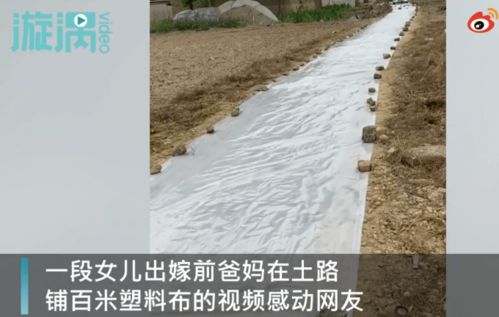 女儿出嫁爸妈在土路铺百米塑料,网友泪目 天下父母心