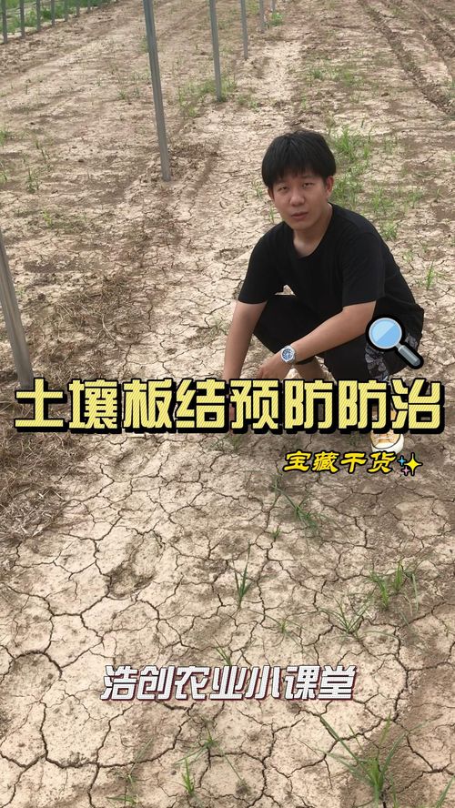 土地板结怎么快速解决_改善土地板结的办法